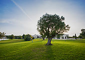 Acaya Golf Resort Spa / Golfreisen Apulien