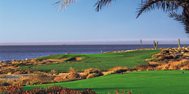 Desert Course at Cabo del Sol Golf Club / Golfreisen Mexiko